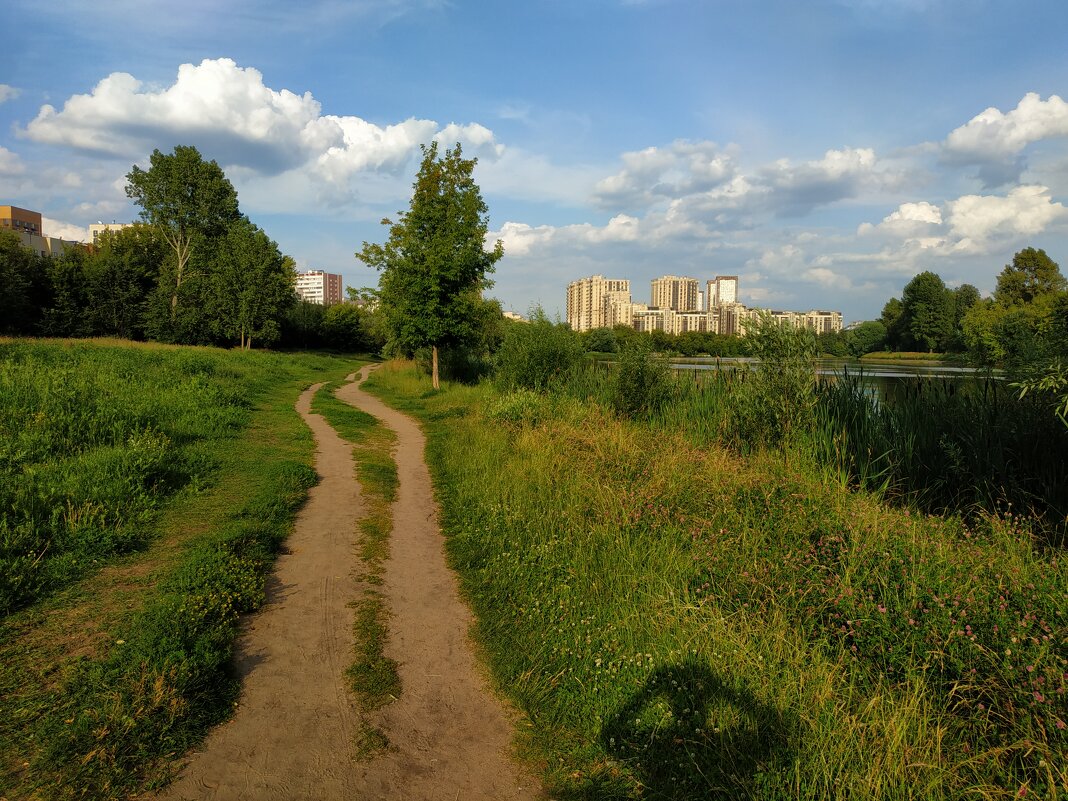 * * * - Андрей Лукьянов * * * - Андрей Лукьянов