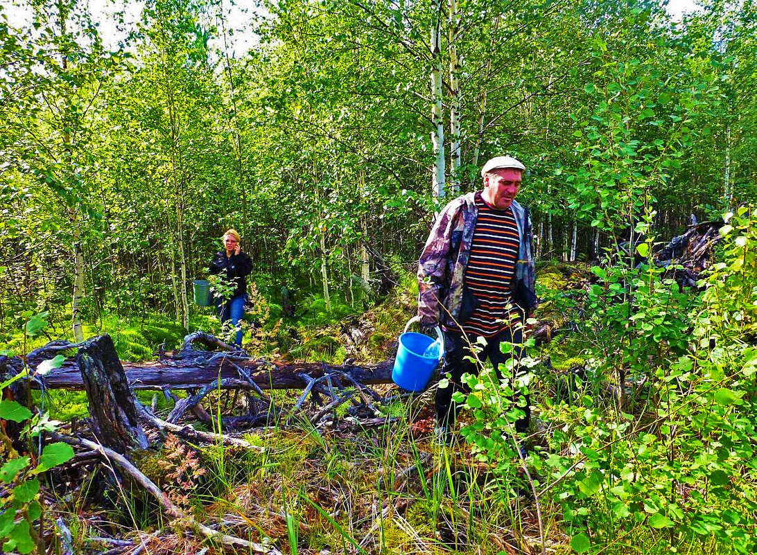 Июль...За боровиками  по...бурелому! - Владимир 