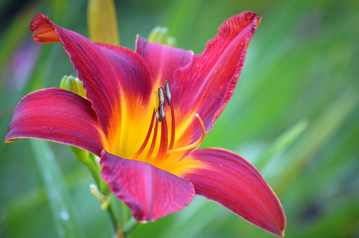 С любимыми не расставайтесь! - Татьяна Лютаева