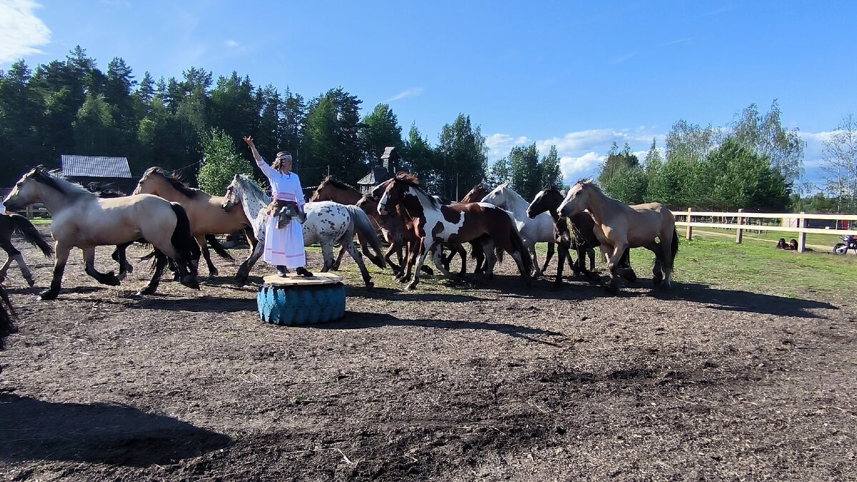 Конный театр Марины Мироновой. - Ольга 