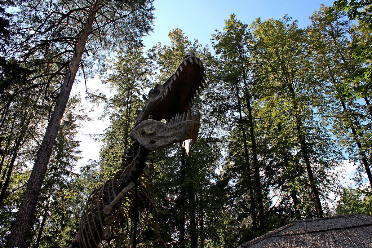 Динополис - Марсель Валеев