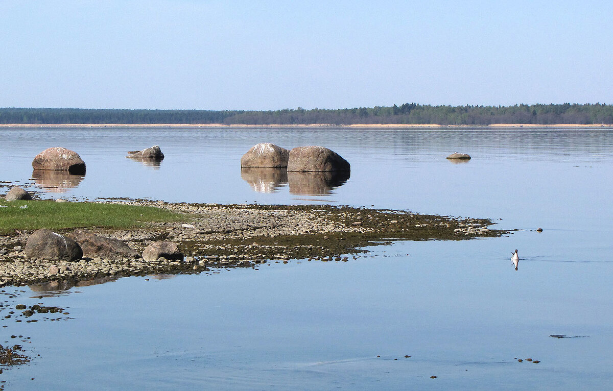 Пейзаж с чайкой - Александр Ильчевский 