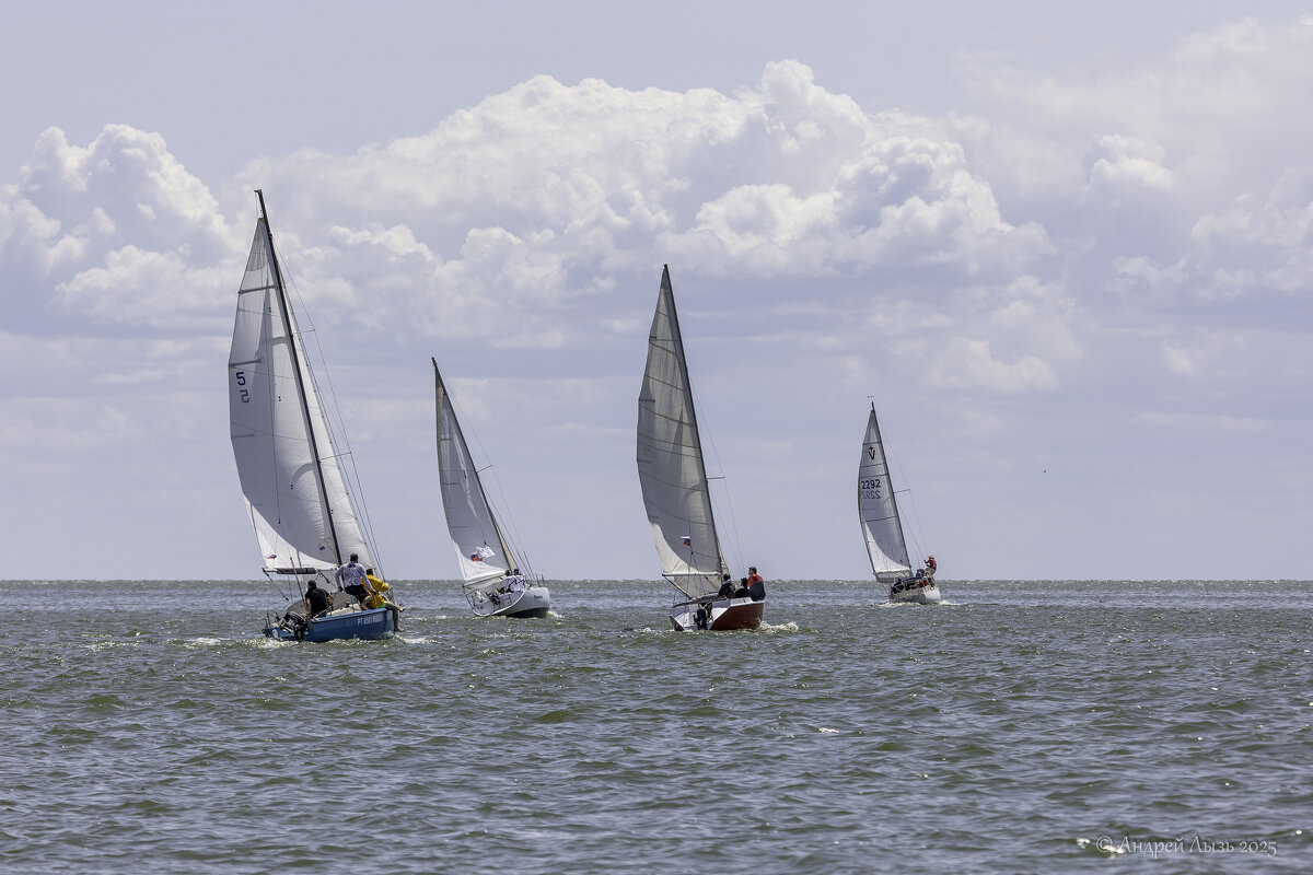 Регата - Андрей Lyz