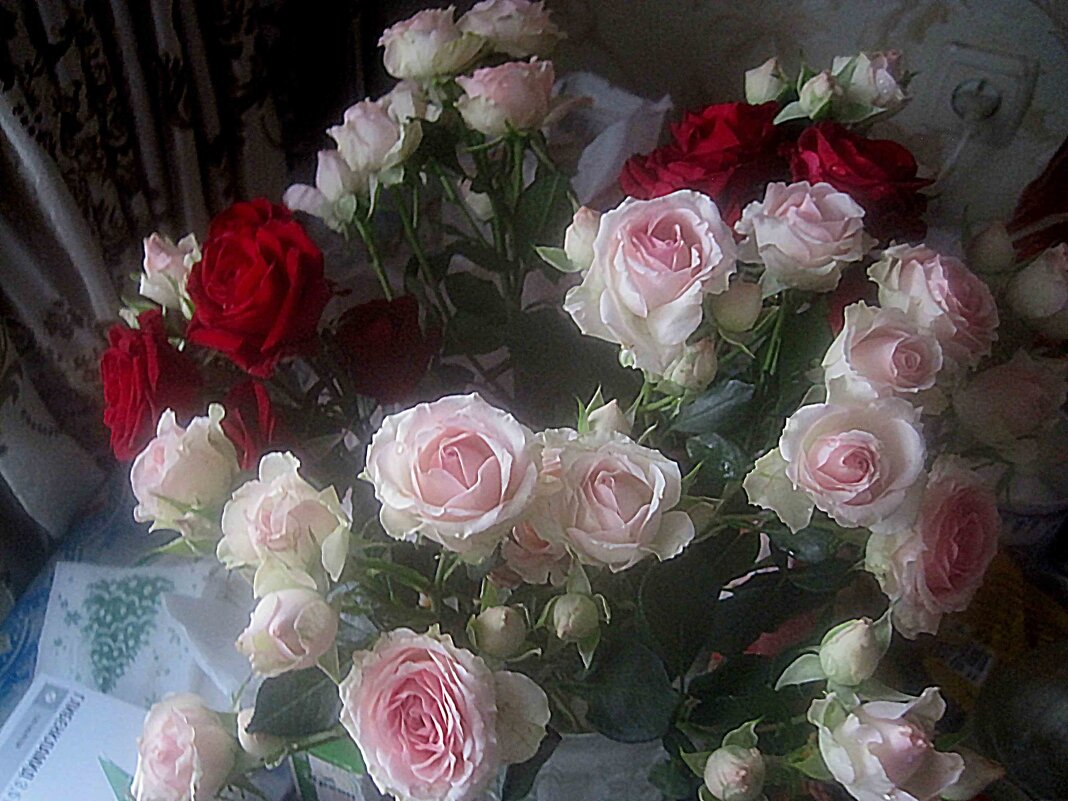 С ДНЕМ СЕМЬИ,ЛЮБВИ И ВЕРНОСТИ! СЧАСТЬЯ ВАМ! - Елена Семигина