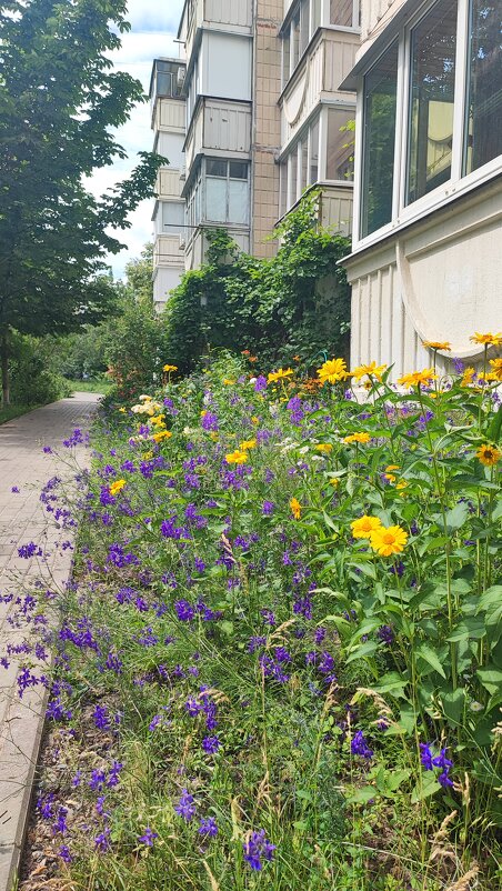 ,,, - Сергей Тимоновский