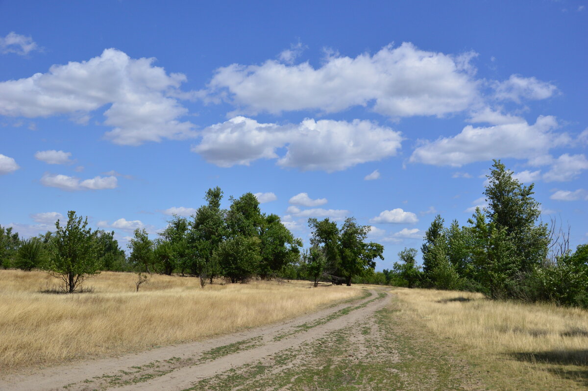 Мои дороги. - Виктор 