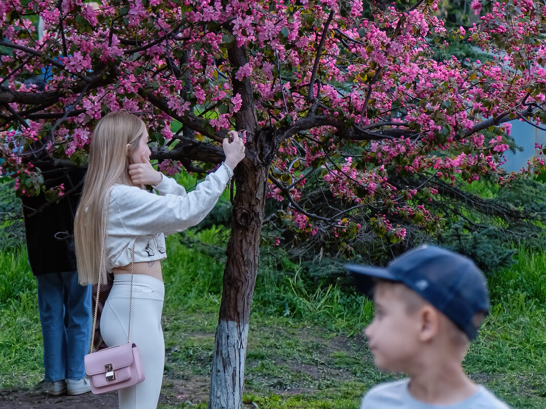 "Райский сад " - Сергей Шатохин 