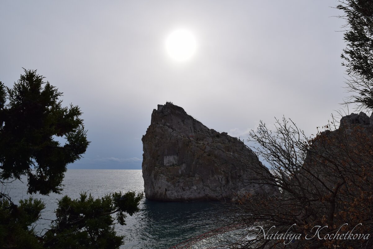 Природа Крыма - Amazing Cosmea