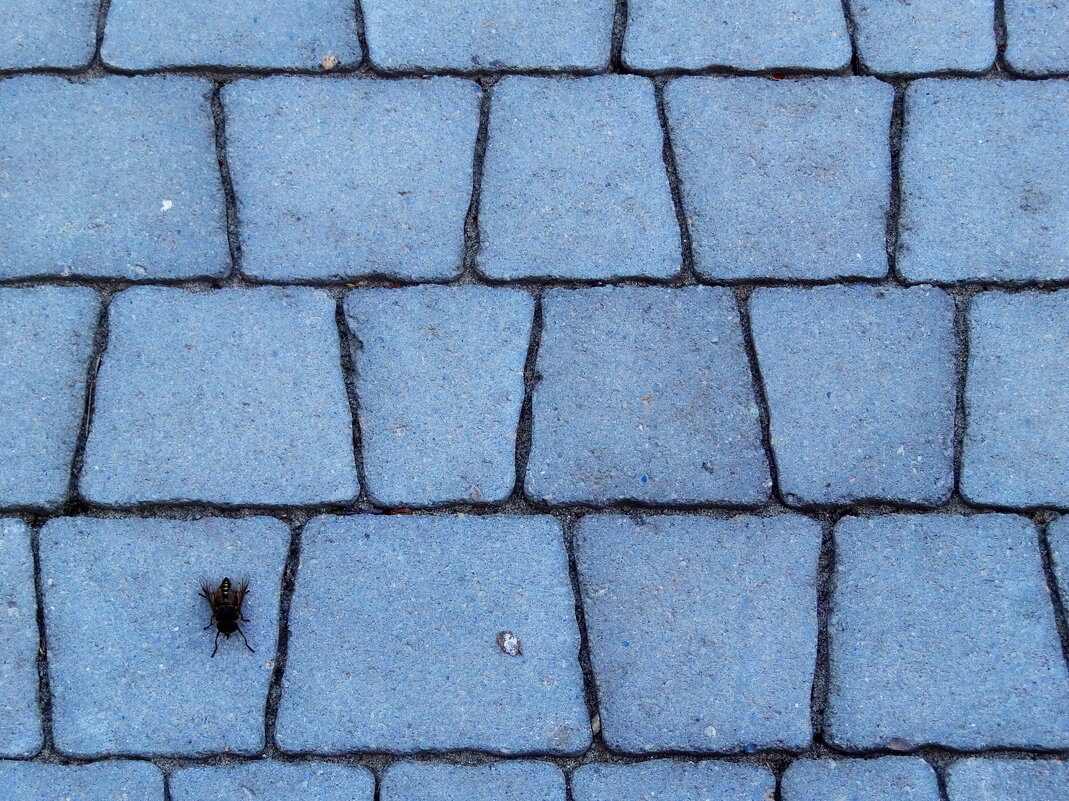 Пирамида Маслоу - Maria Rainer