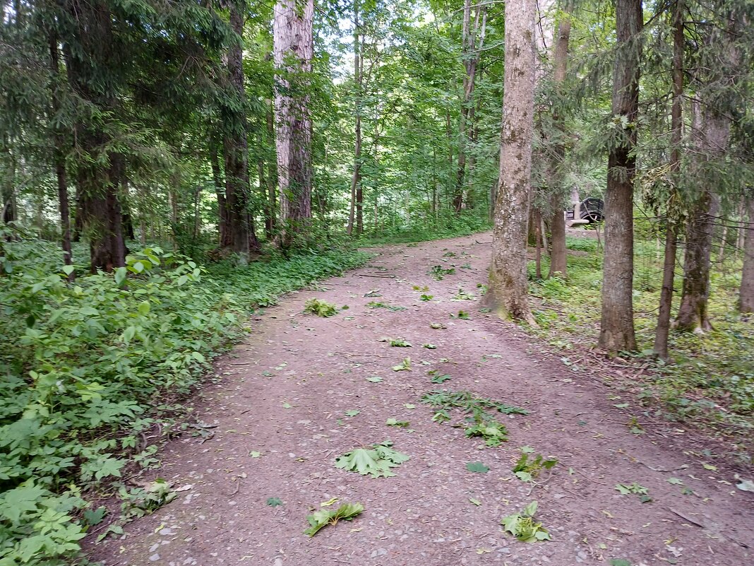 Прогулка в ураган, зато народа нет :-) - Лия ☼