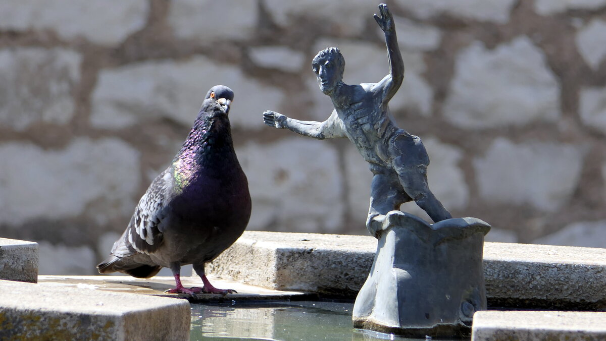 "The Natural World" (Мир Природы) - "The Natural World" Александер "The Natural World" (Мир Природы) - "The Natural World" Александер