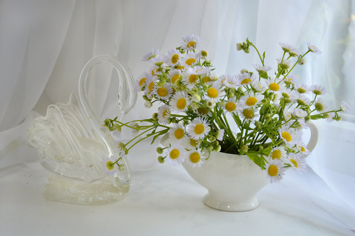 С ПРАЗДНИКОМ!!!  С Днём семьи, любви и верности! - Надежда Куркина 