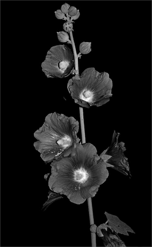 ... - Юрий Ковшов