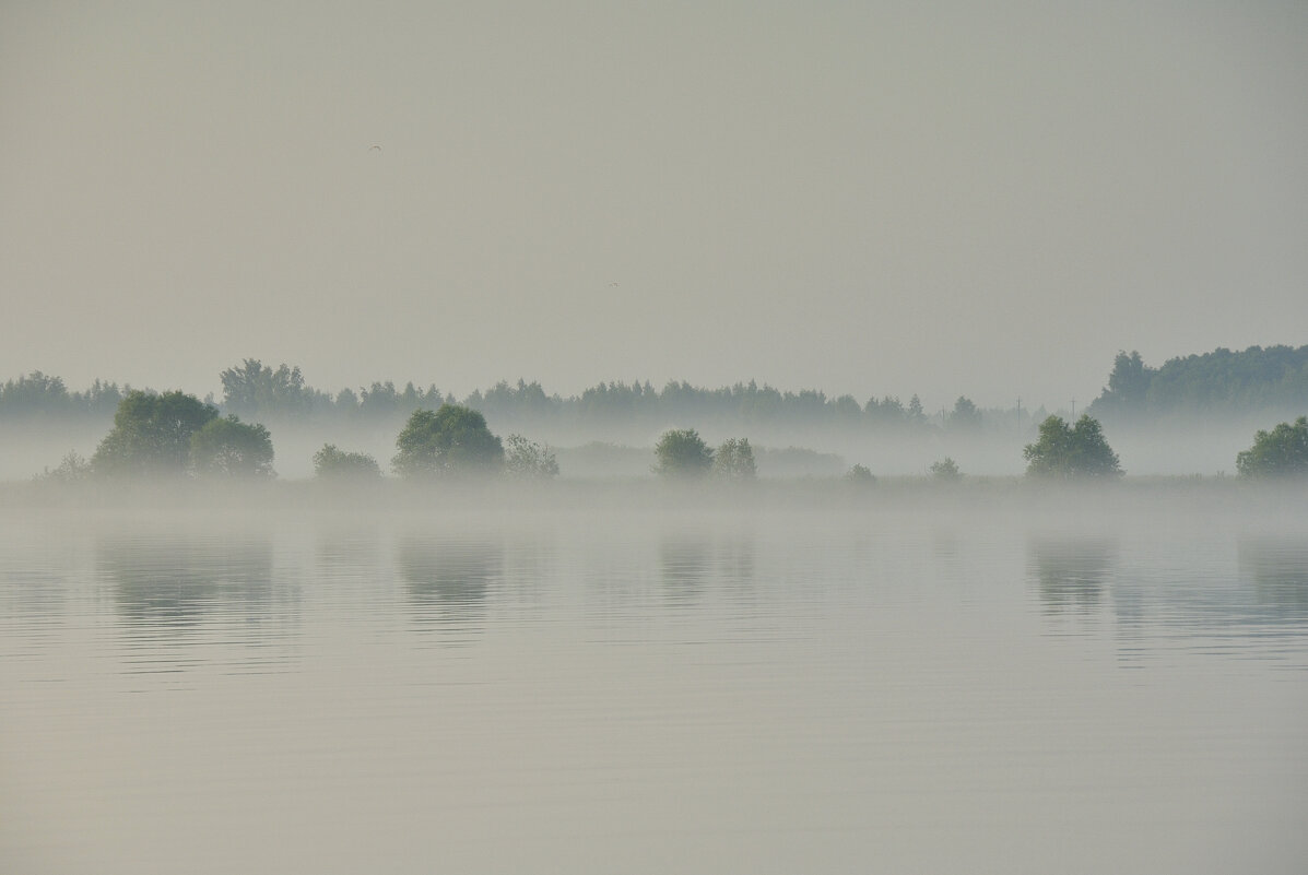 Я ёжик, я в тумане.) - Марина Виноградова Я ёжик, я в тумане.) - Марина Виноградова
