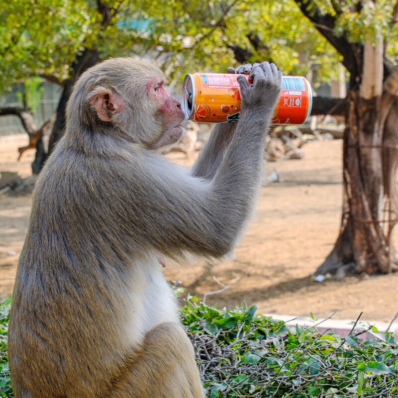 Спасибо за напиток - Георгий А Спасибо за напиток - Георгий А