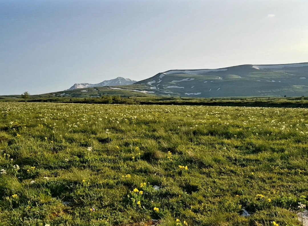 ПЛАТО ЛАГОНАКИ - Tata Wolf