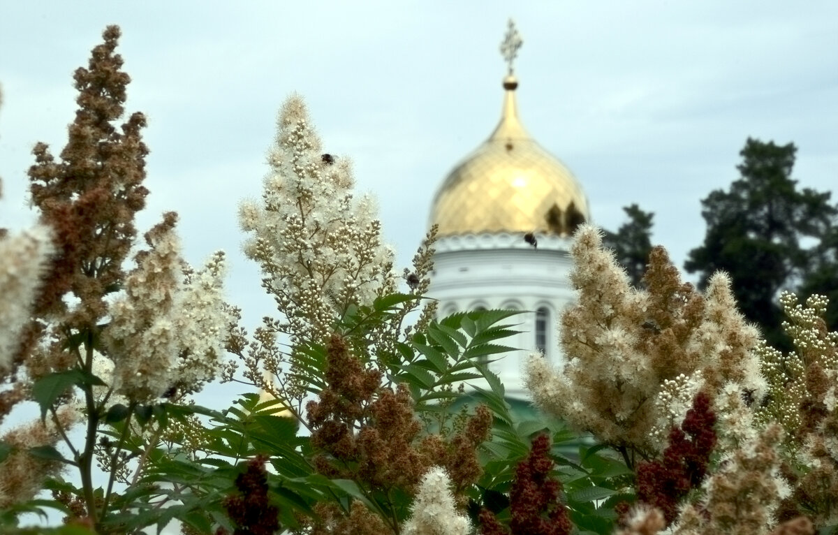 *** - Сергей Сергеев