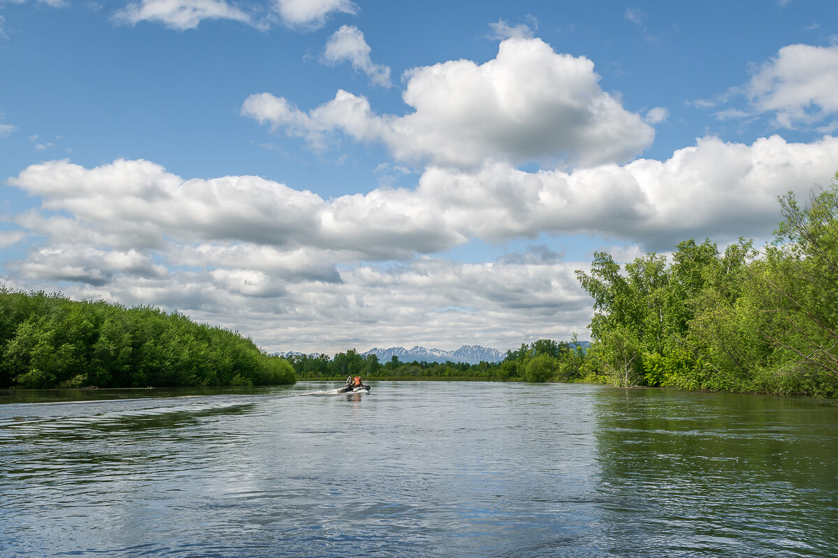 ... - Жора Житников