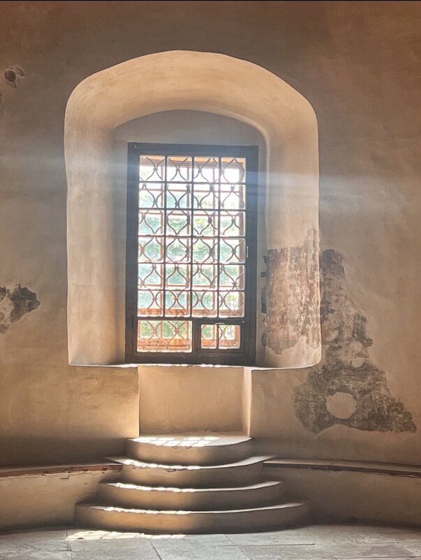 Окно - Жанна Мандрика