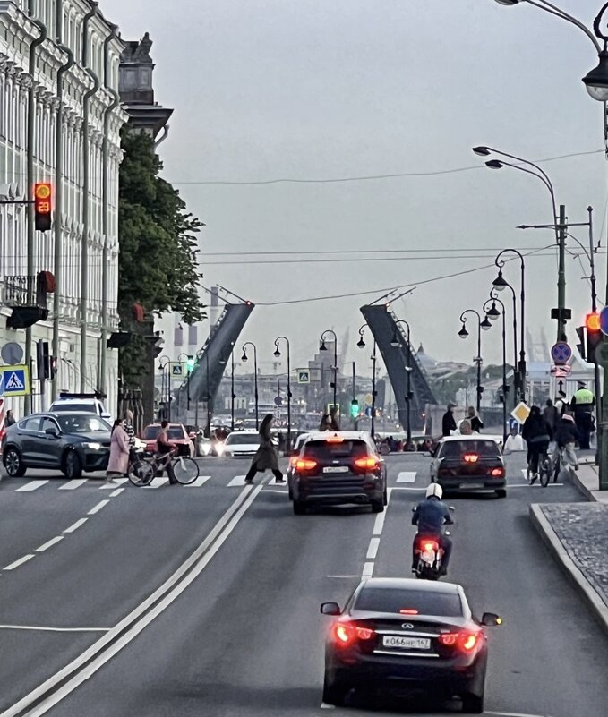 Разведенный мост - Жанна Мандрика