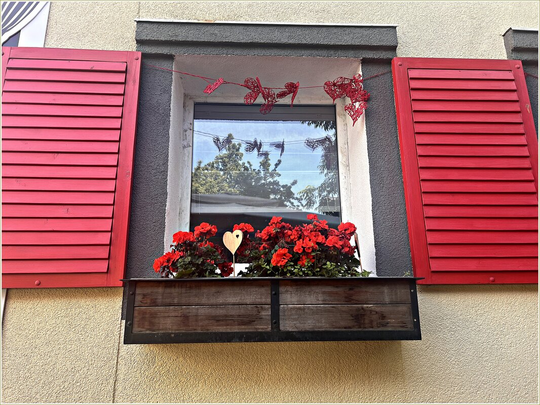 Окно кафе. - Валерия Комова