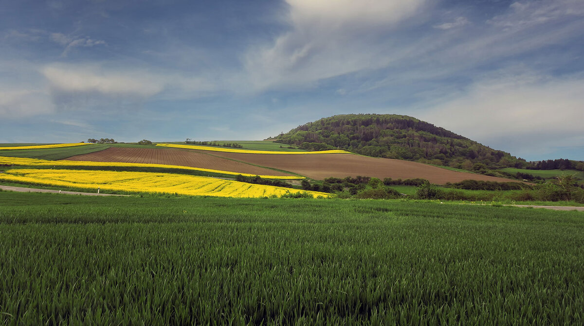 Поля - Андроник Александр 