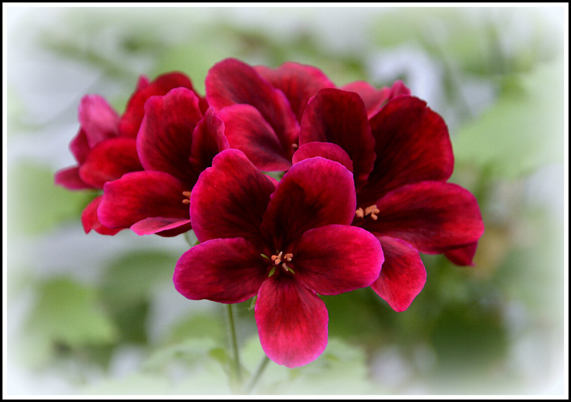 *** - Aleksandr Gal *** - Aleksandr Gal