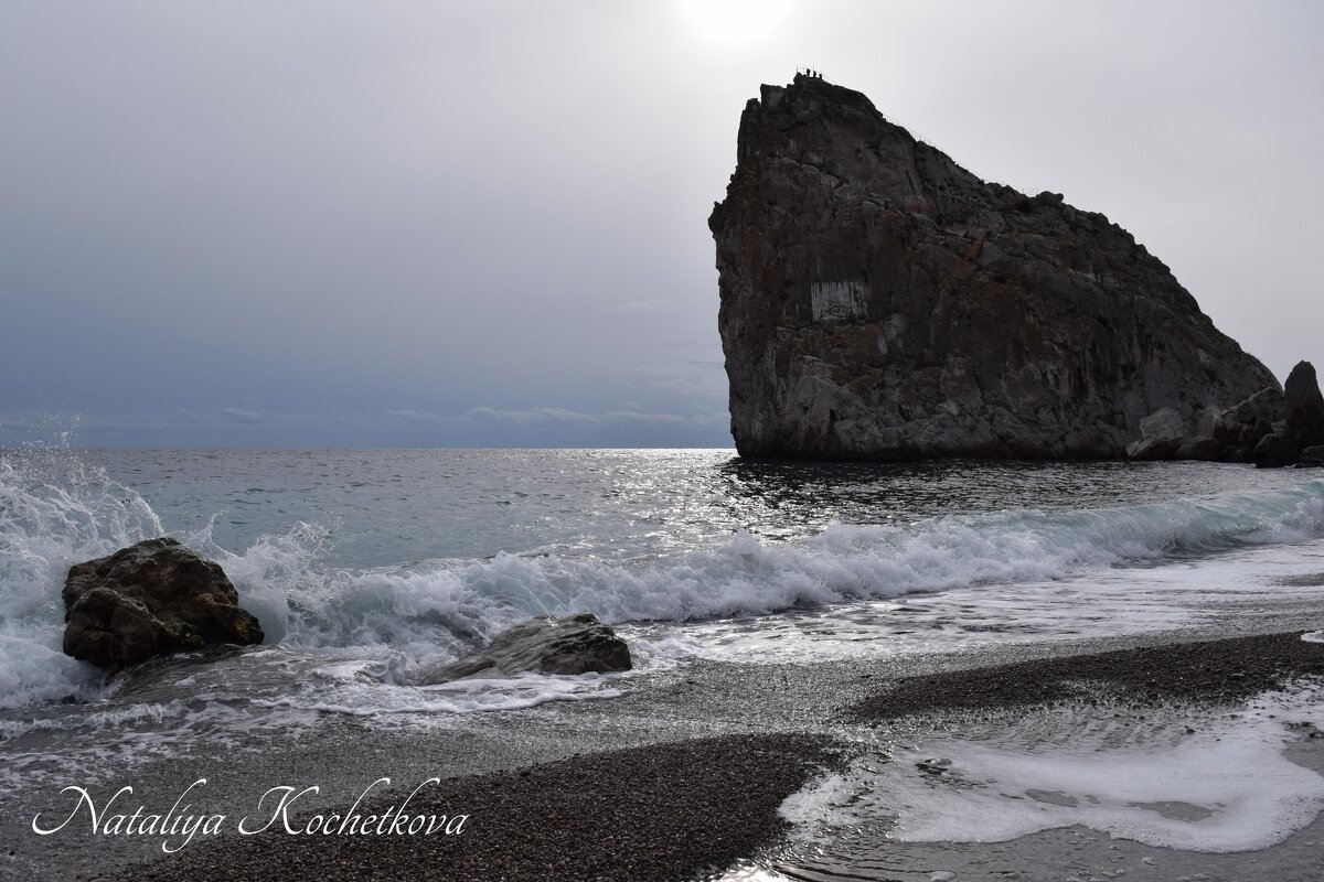 Природа Крыма - Amazing Cosmea