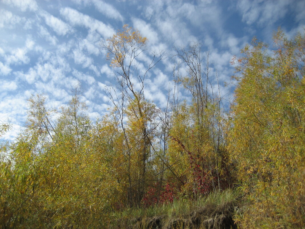 У протоки - Anna Ivanova У протоки - Anna Ivanova