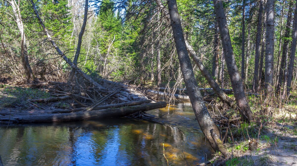 Река Куштумга. - Алексей Трухин