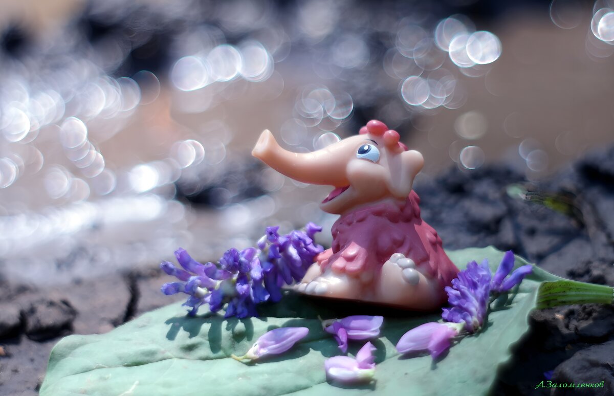 О розовых слониках лета...:-) - Андрей Заломленков О розовых слониках лета...:-) - Андрей Заломленков