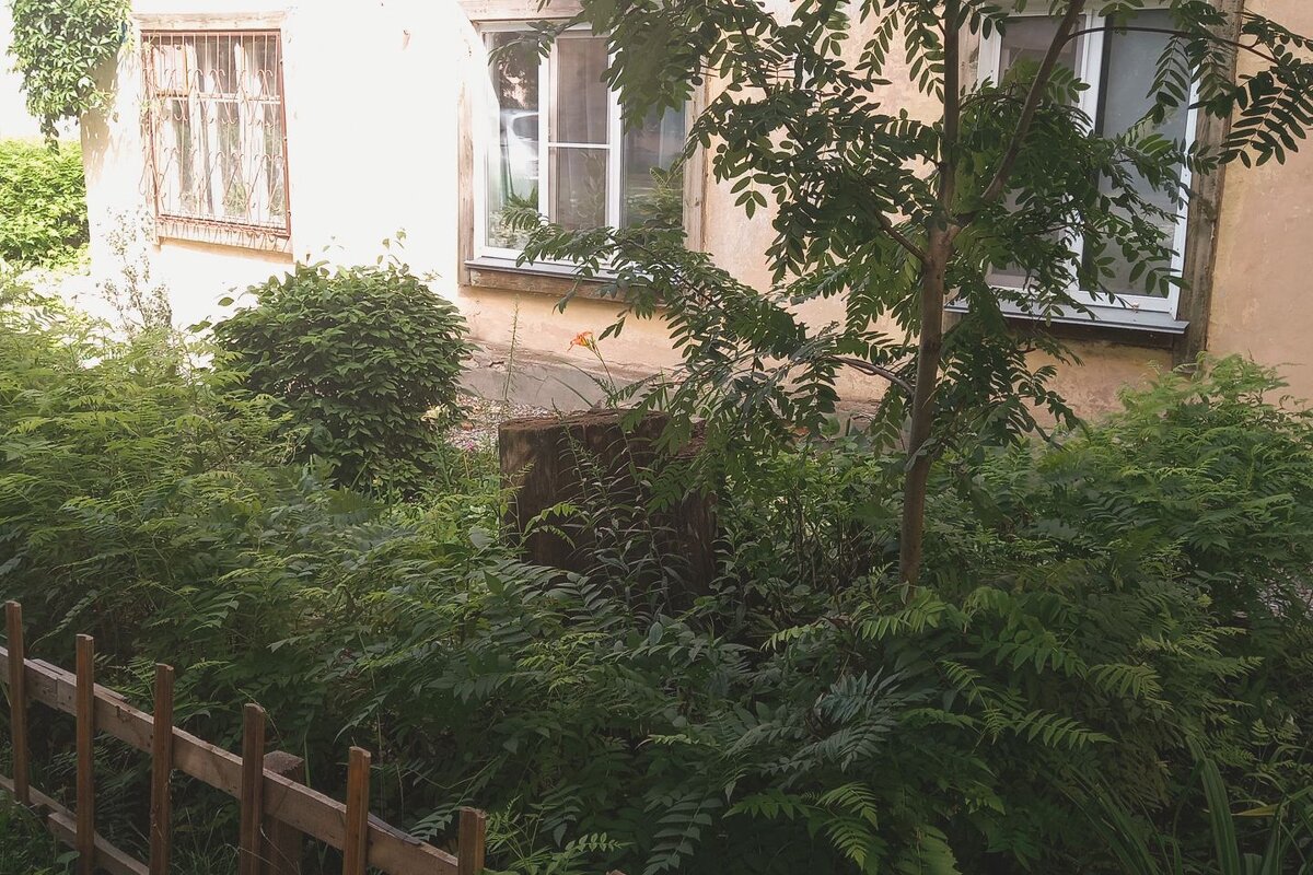 Палисадник. - Игорь Солдаткин