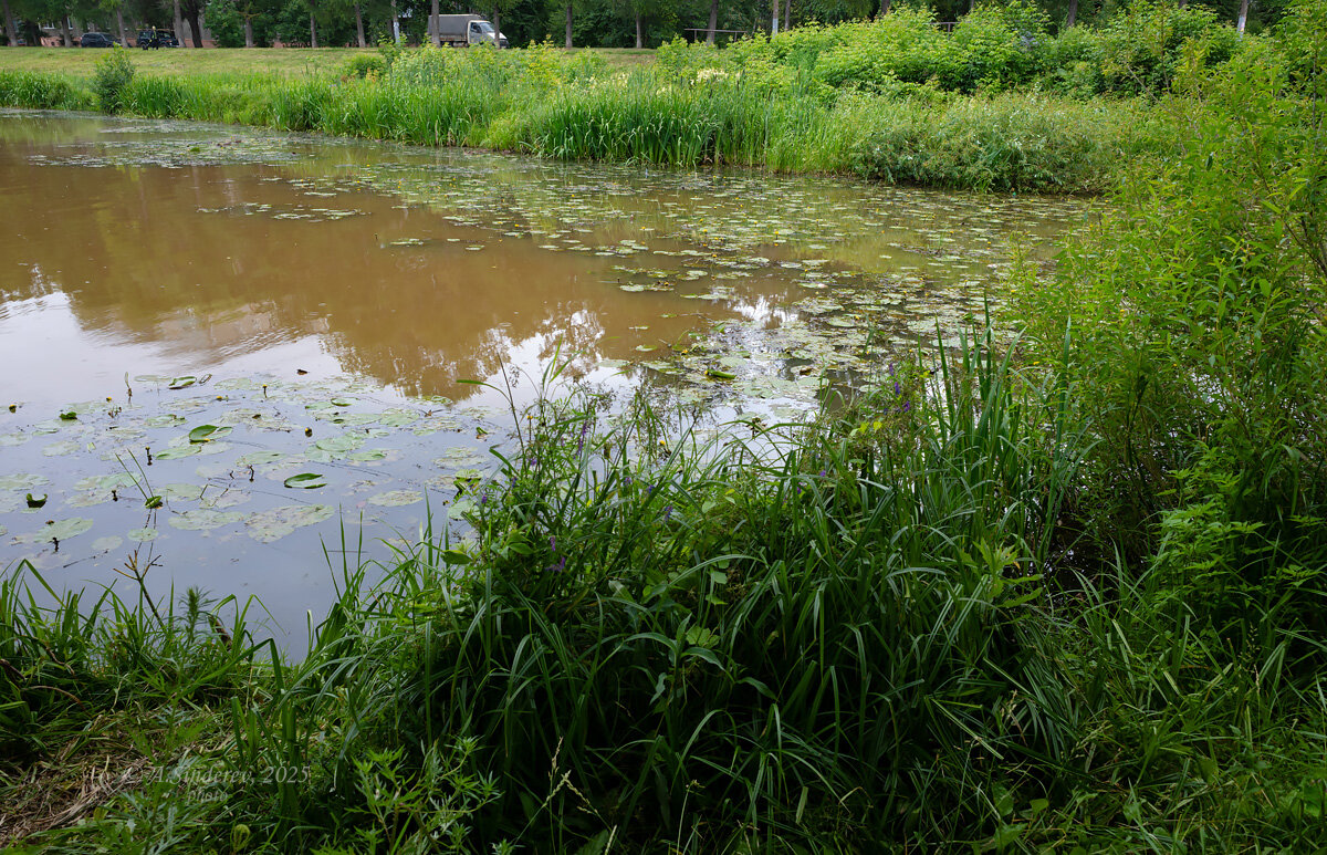 На берегу - Александр Синдерёв