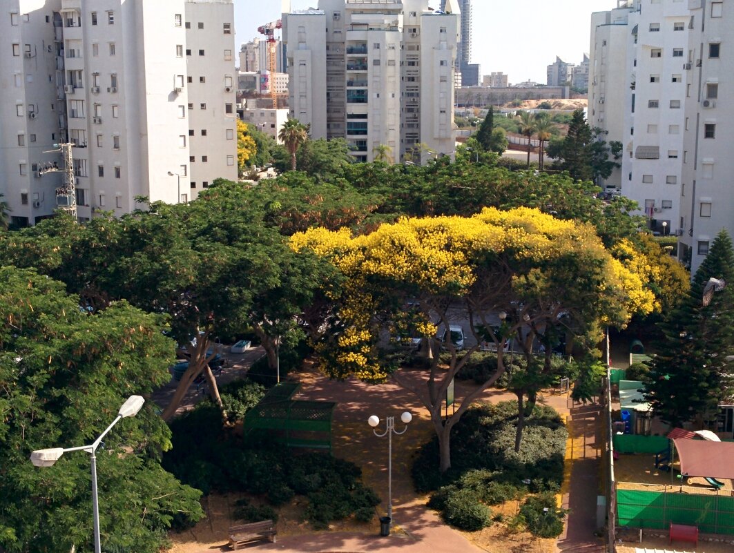 Вид с балкона - Светлана Хращевская Вид с балкона - Светлана Хращевская