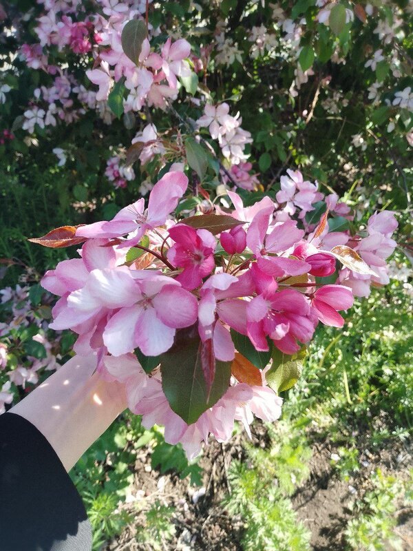 весна - Анастасия Малыгина