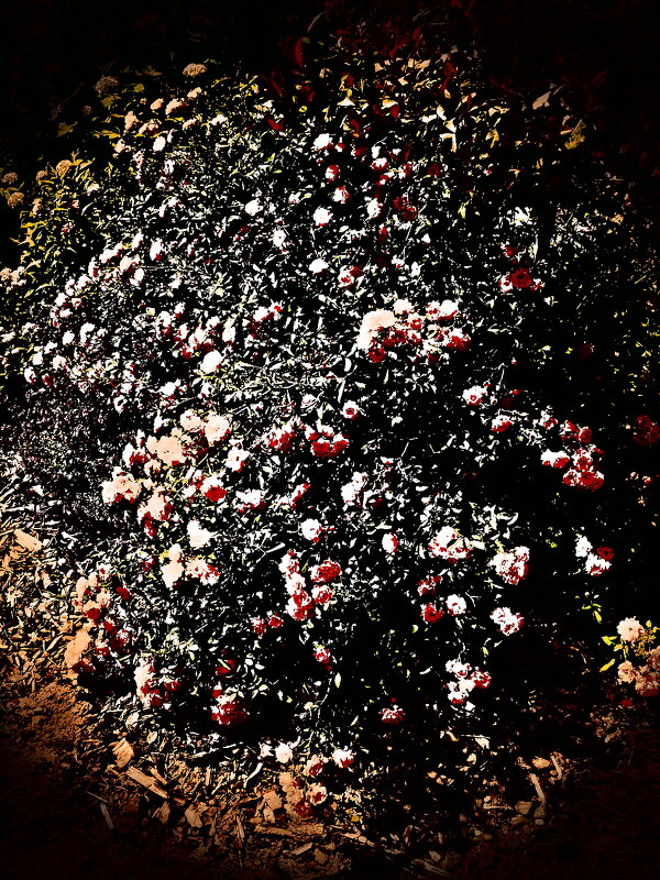 Летние этюды 57 - Алексей Кузнецов