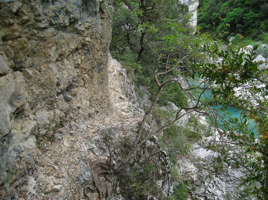 Горная тропинка в Вердонском ущелье. - unix (Илья Утропов) Горная тропинка в Вердонском ущелье. - unix (Илья Утропов)