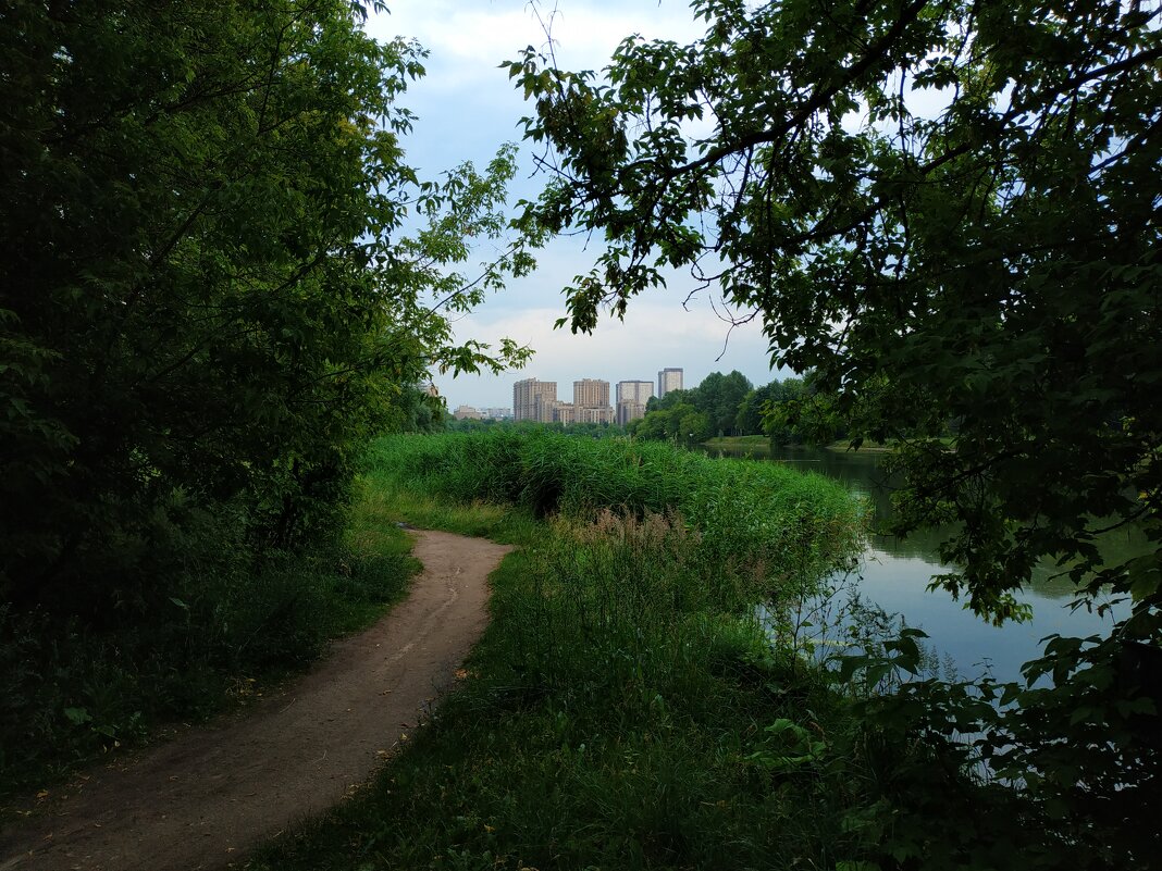 * * * - Андрей Лукьянов * * * - Андрей Лукьянов