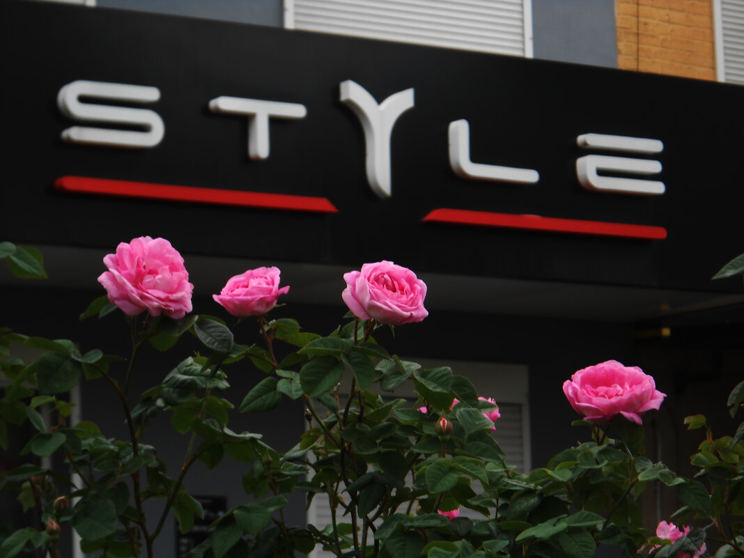 . - Александр Хоменко . - Александр Хоменко