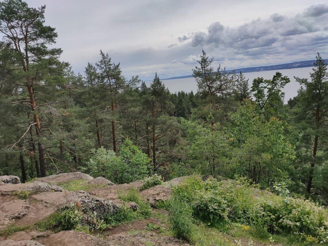 В Ботаническом саду Петрозаводска - Ирэн 