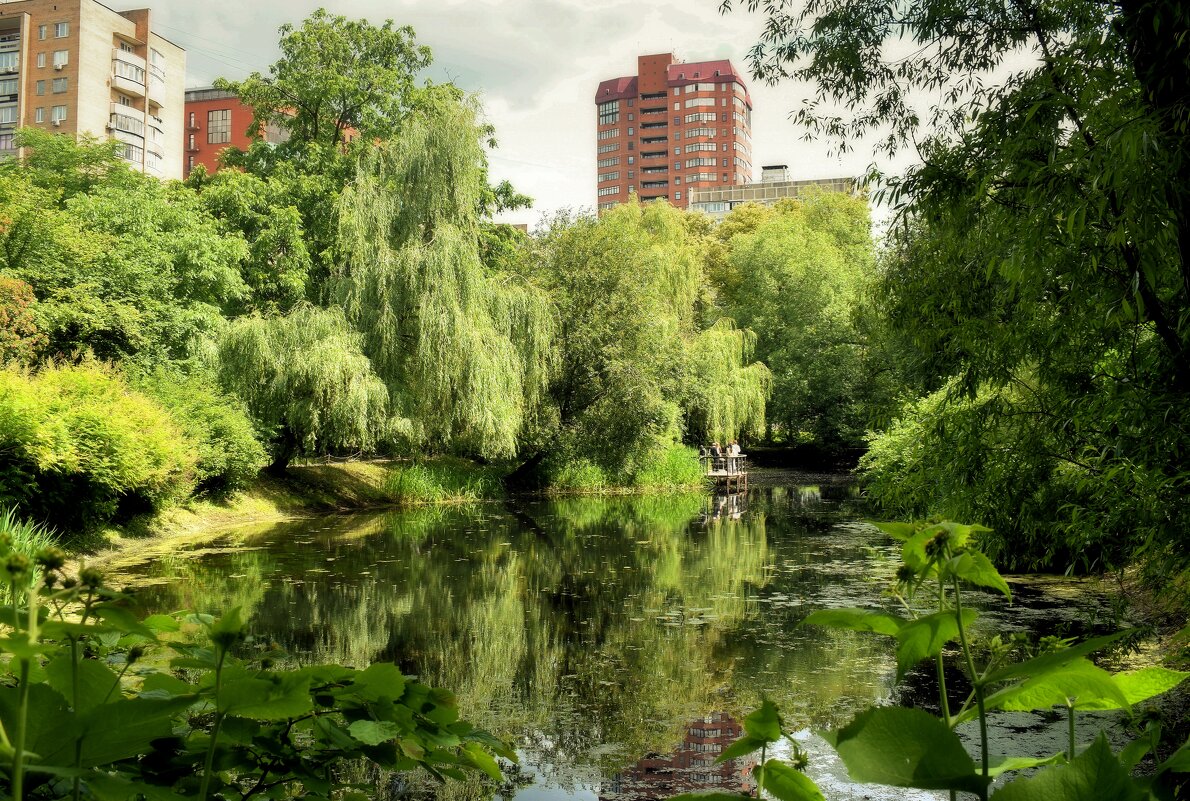 Старинный пруд в в Аптекарском огороде. - Татьяна Помогалова