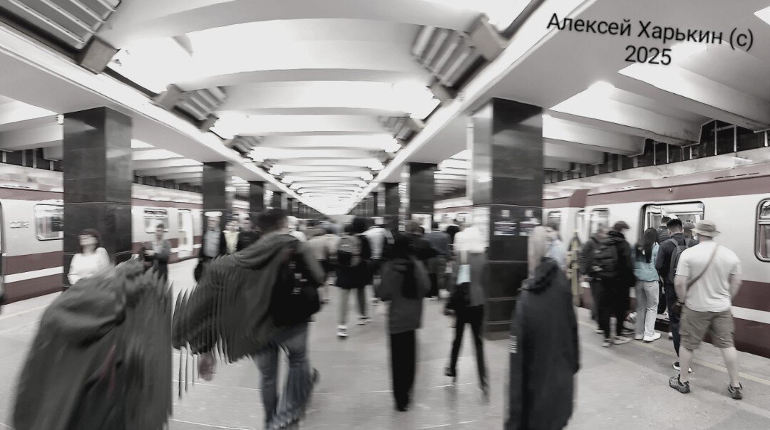 Транспортная суета - Алексей Харькин