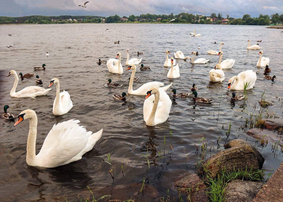 Себежское озеро - skijumper Иванов