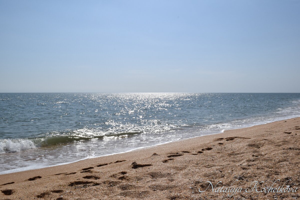 Природа Крыма - Amazing Cosmea