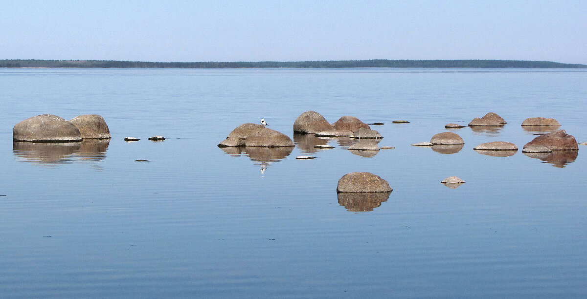 Спокойствие - Александр Ильчевский Спокойствие - Александр Ильчевский