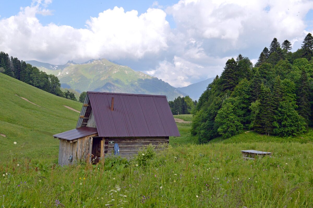 Домик на опушке - Юрий Спасовский