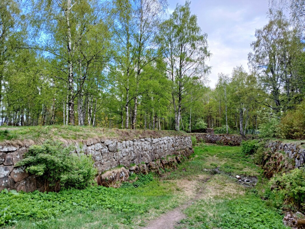 Рвы. - Лия ☼