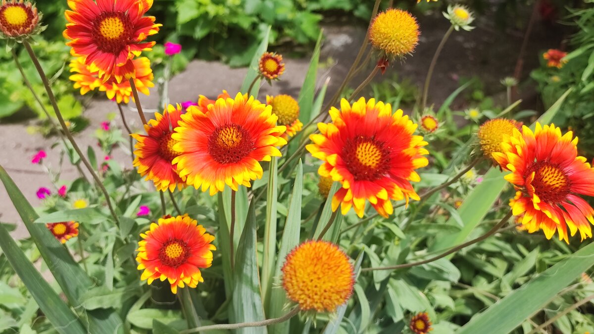 ,,, - Сергей Тимоновский