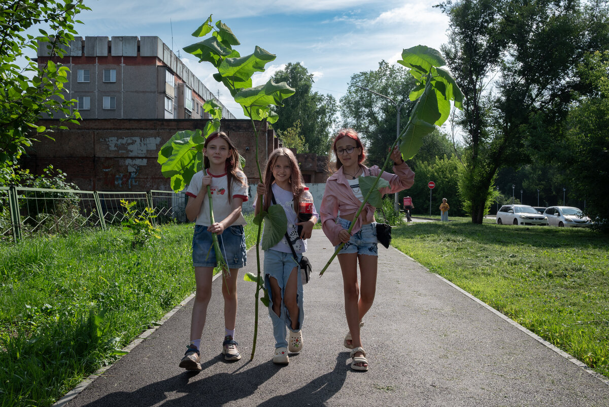 *** - Валерий Михмель 