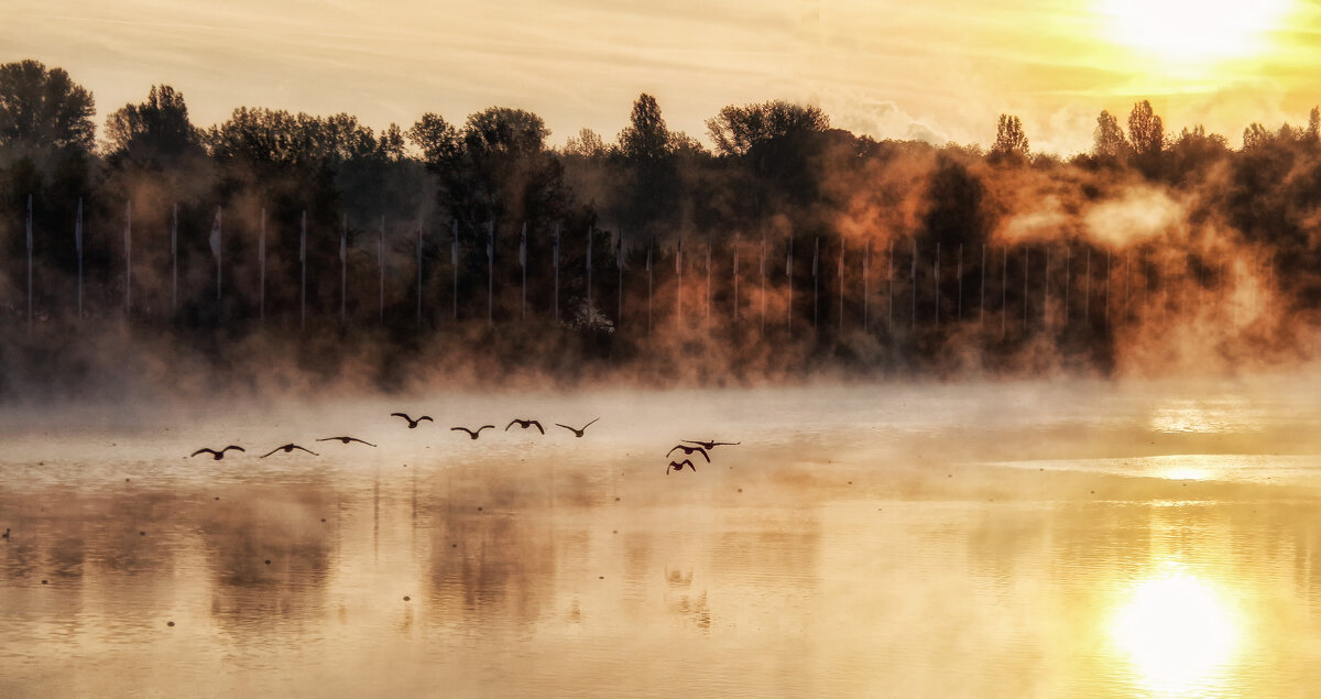 ***** - Андроник Александр 